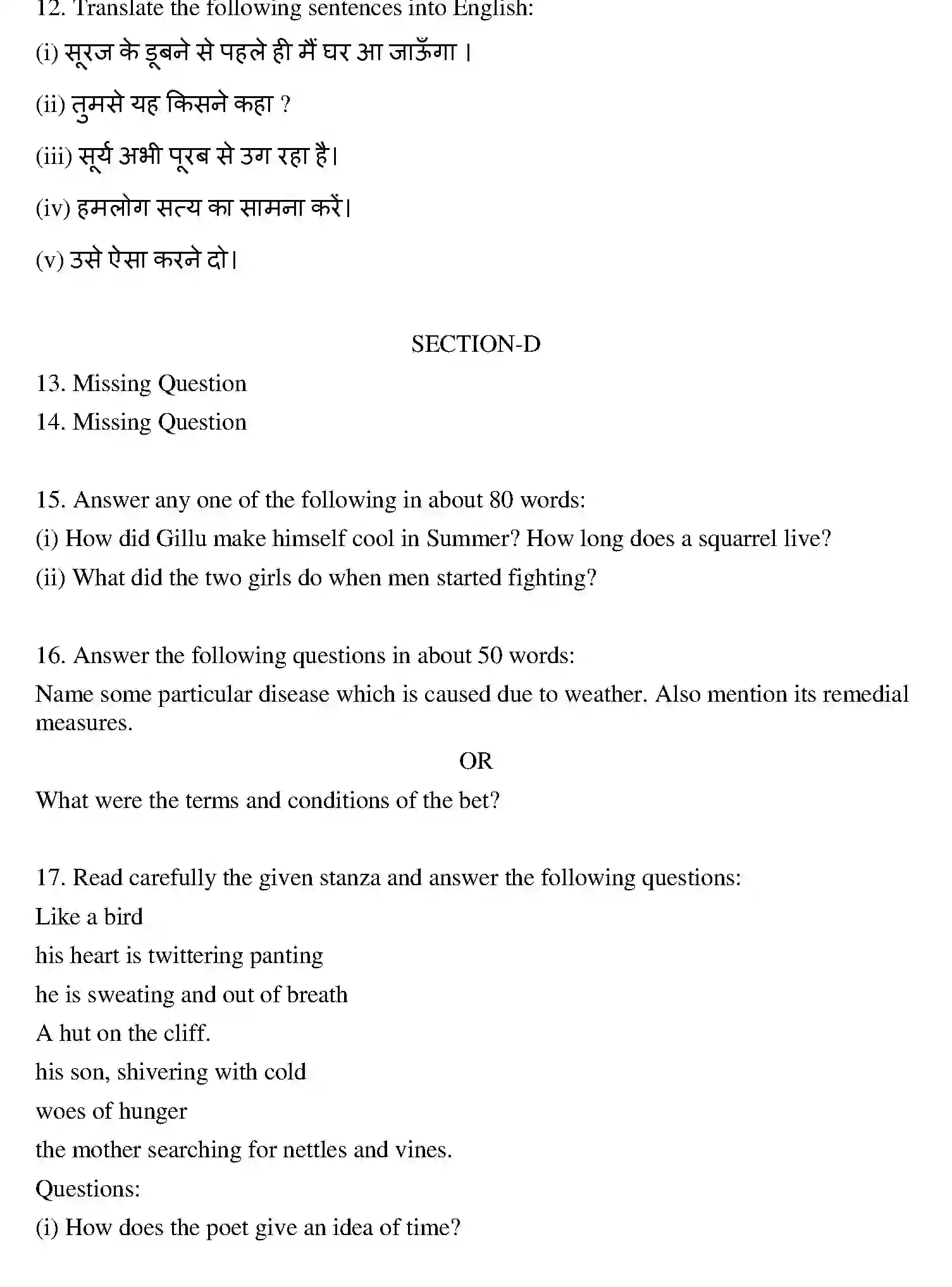 Bihar Board Class 10 2013 ENGLISH Finals - Page 3