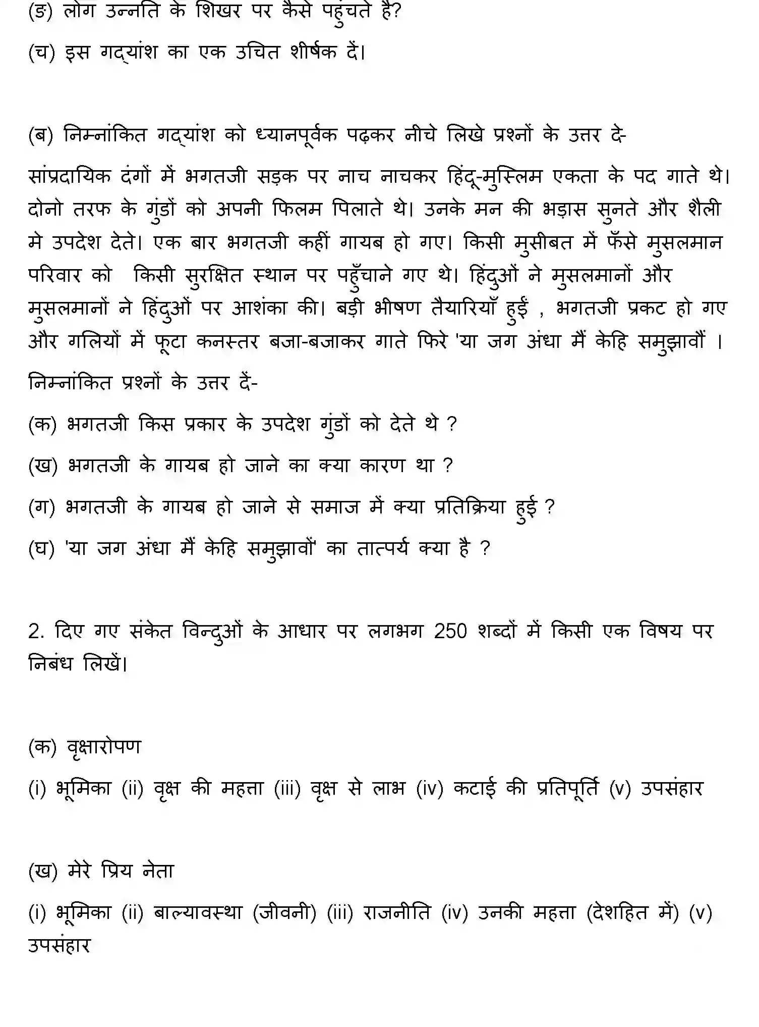Bihar Board Class 10 2017 HINDI-SET-2 Finals - Page 14