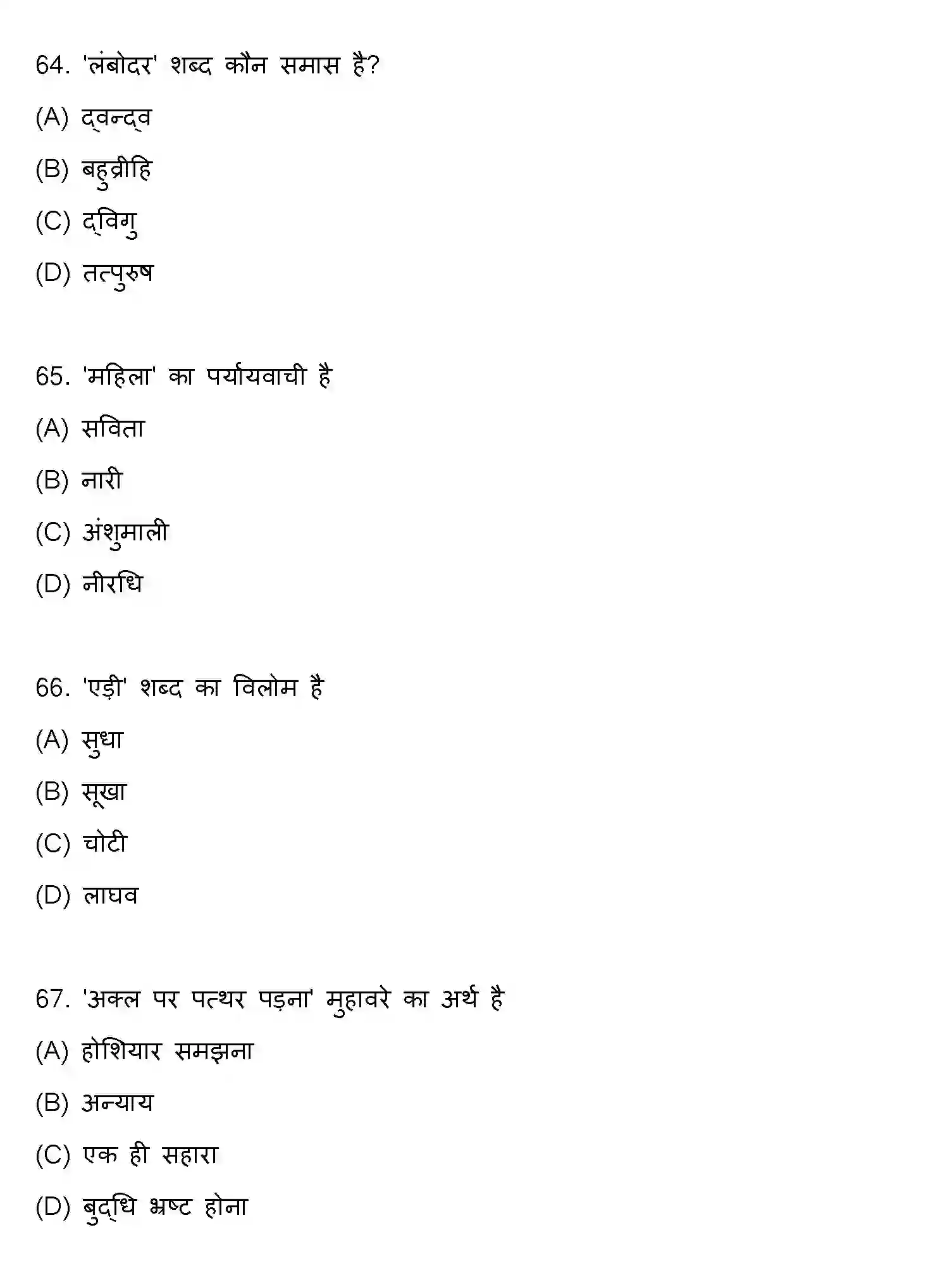 Bihar Board Class 10 2021 HINDI-SET-1 Finals - Page 17