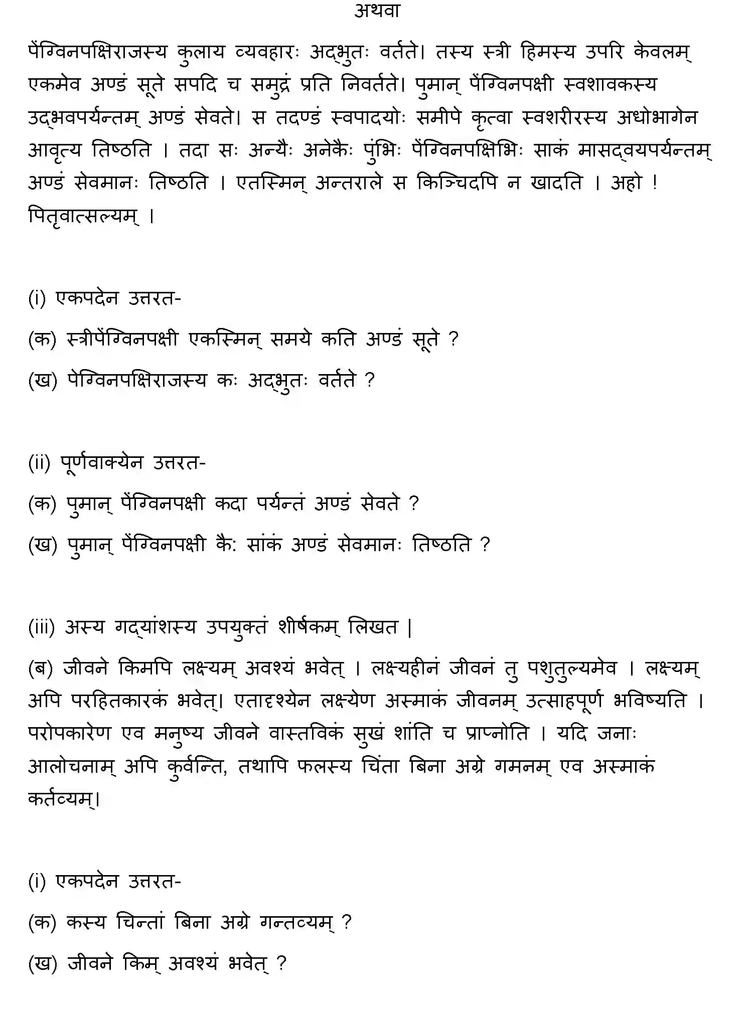 Bihar Board Class 10 2021 SANSKRIT-SET-2 Finals - Page 27