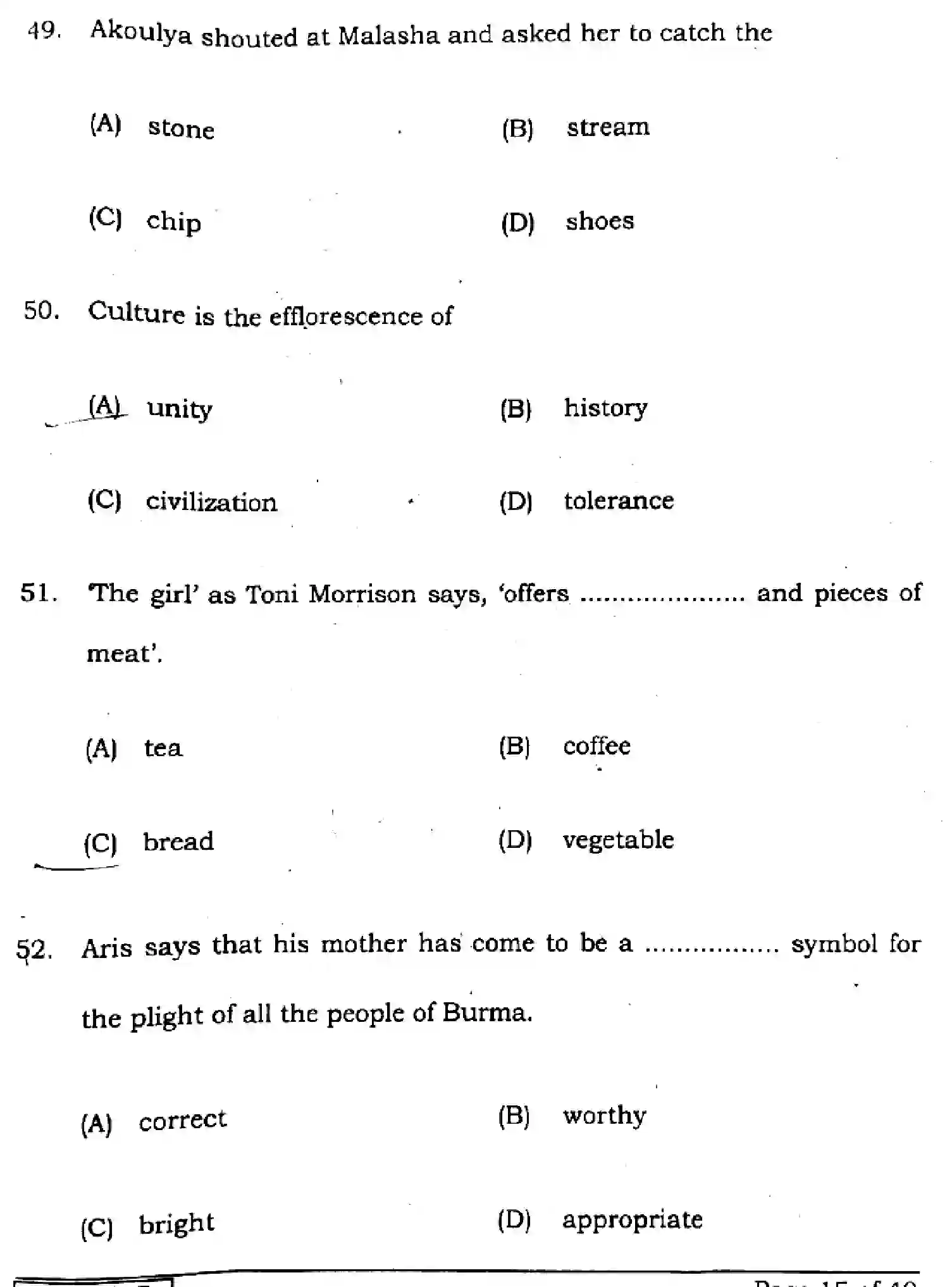 Bihar Board Class 10 2025 ENGLISH-113-SET-E Finals - Page 15