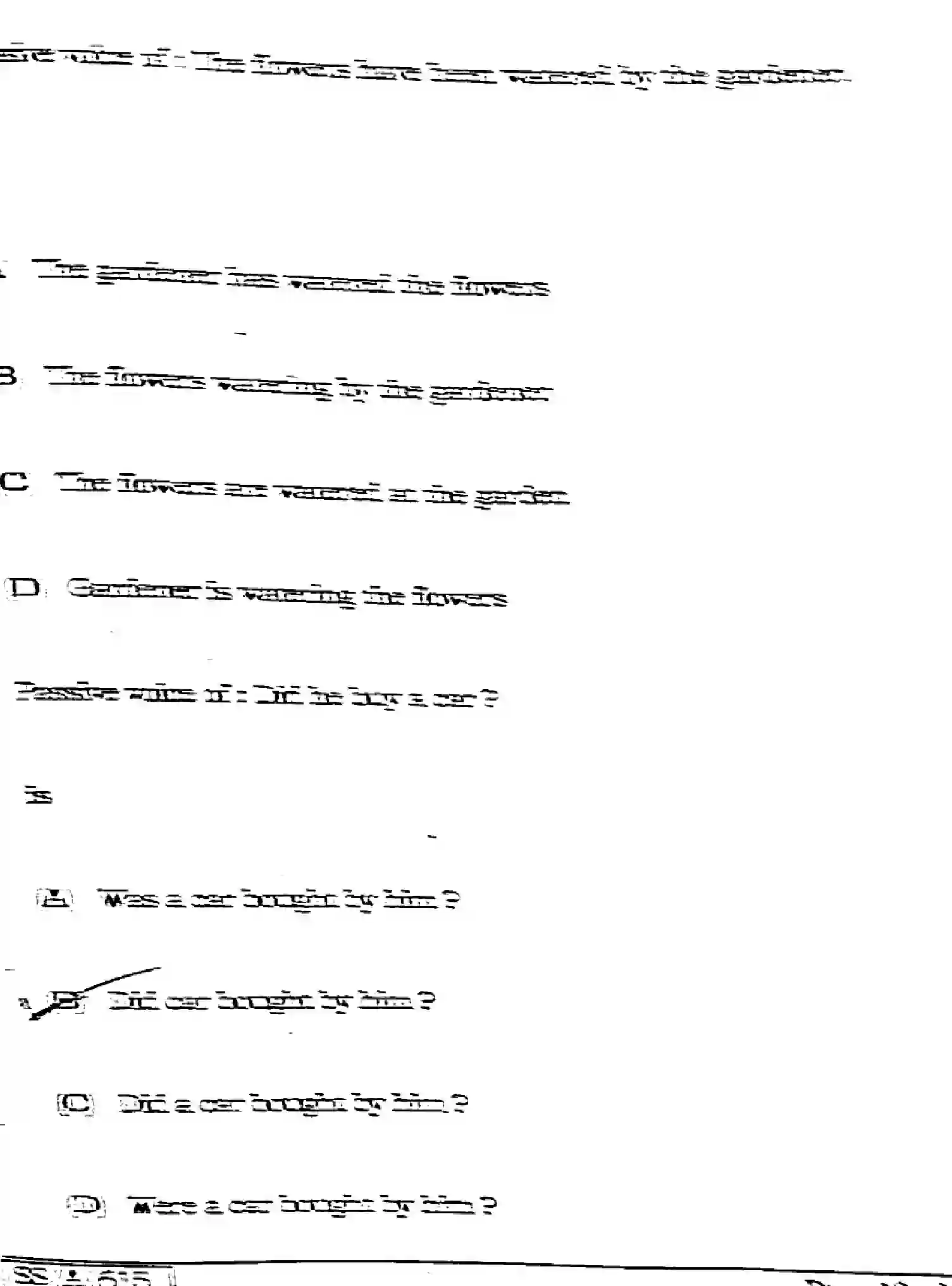 Bihar Board Class 10 2025 ENGLISH-113-SET-G Finals - Page 18