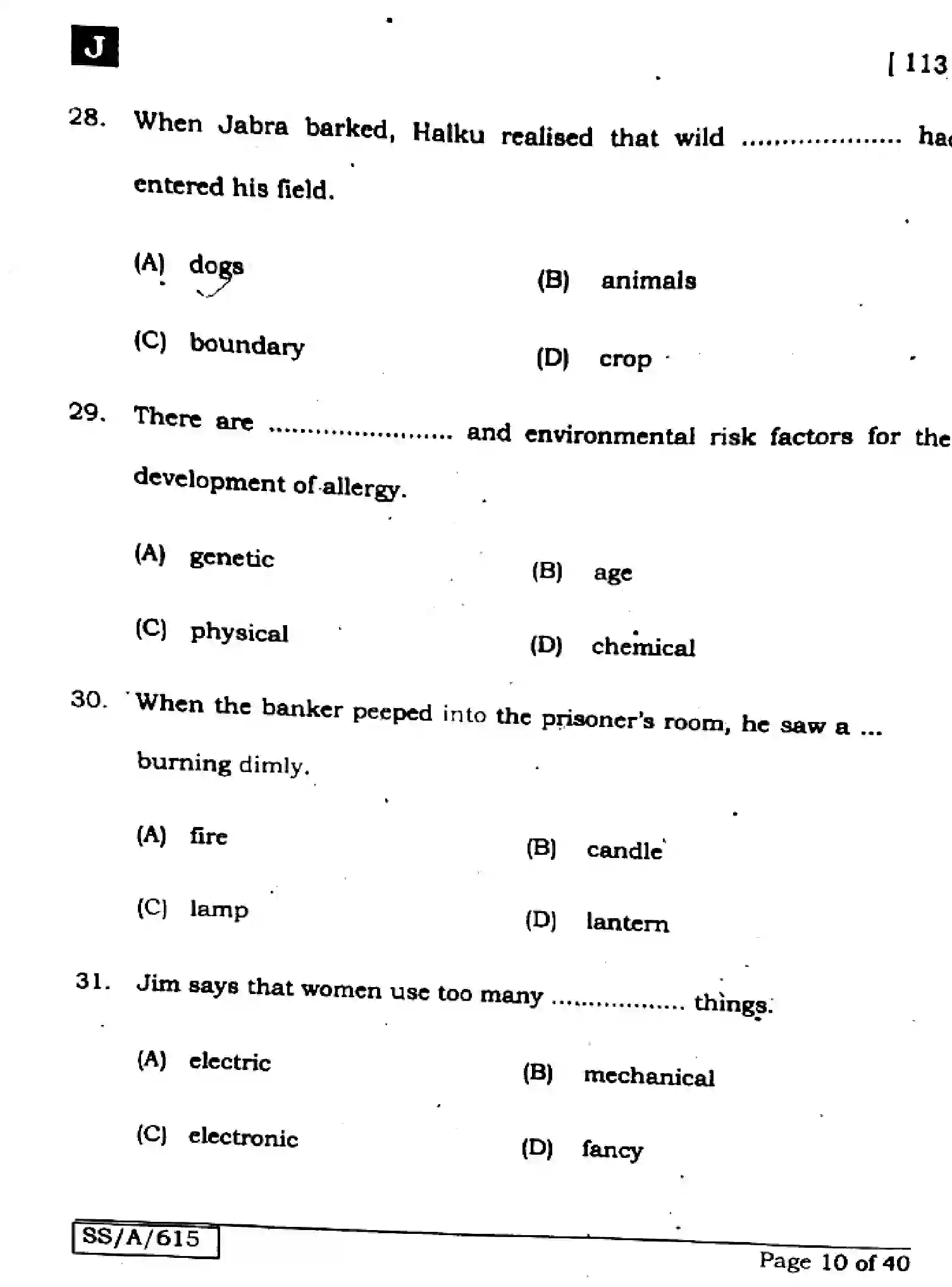 Bihar Board Class 10 2025 ENGLISH-113-SET-J Finals - Page 10