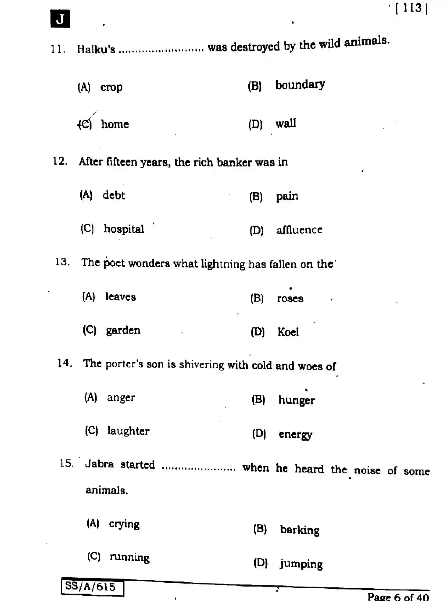 Bihar Board Class 10 2025 ENGLISH-113-SET-J Finals - Page 6