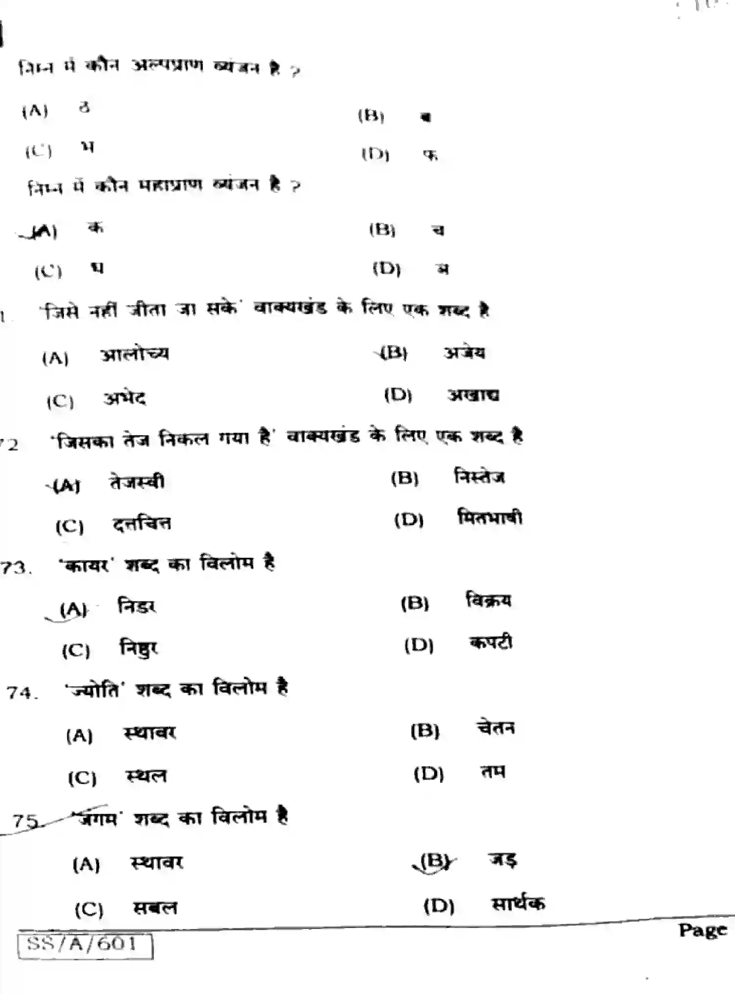 Bihar Board Class 10 2025 HINDI-MT-101-SET-C Finals - Page 13