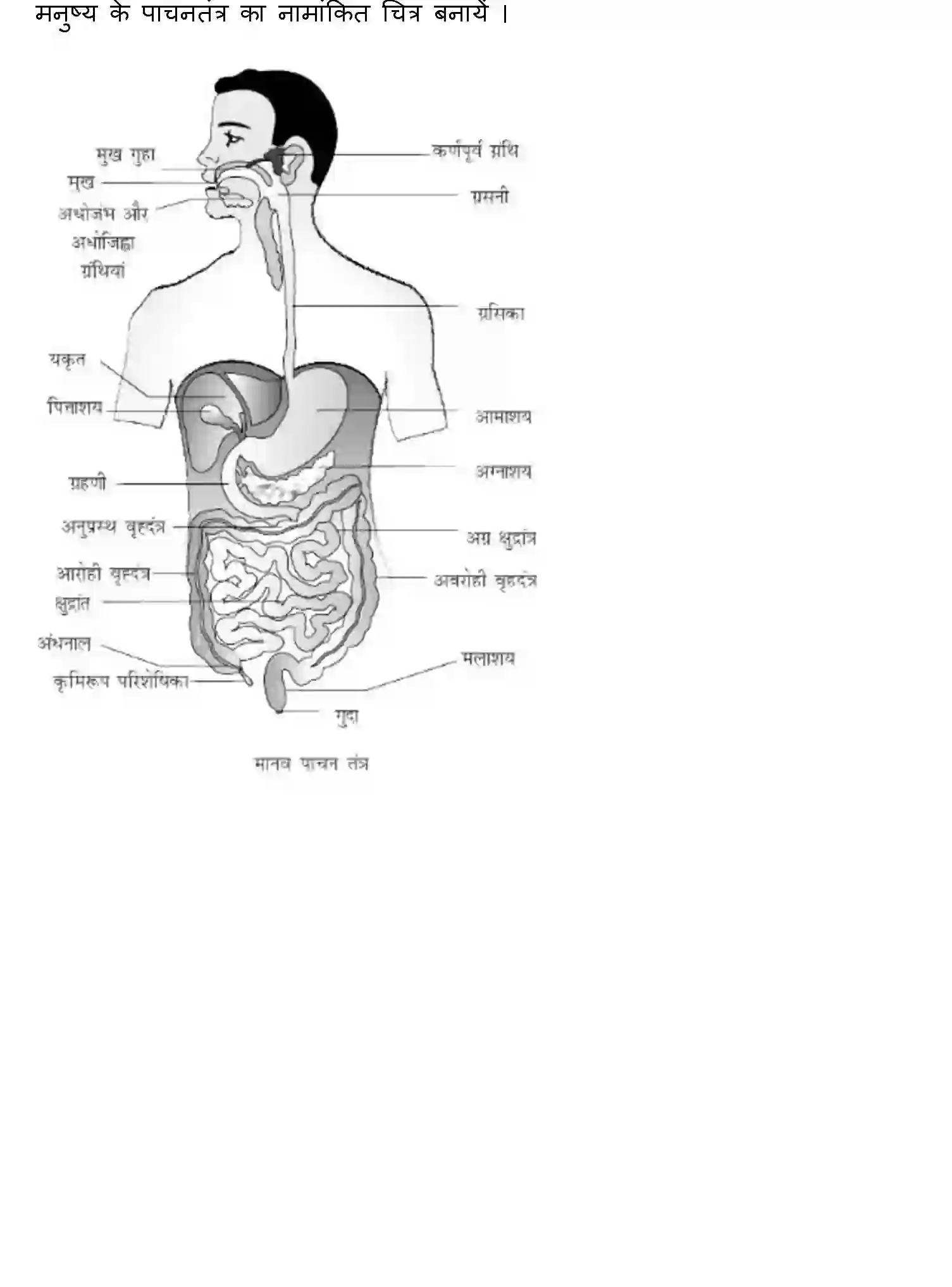 Bihar Board Class 7 2022 HY-SCIENCE-170123 Half Yearly - Page 4